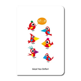 Meteksan A5 Arya 30 Yaprak Güzel Yazı Defteri