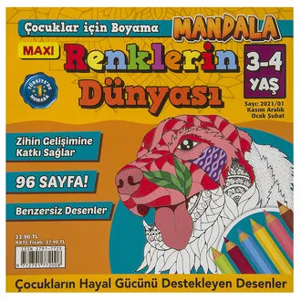 Maxi Renklerin Dünyası