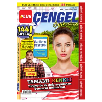 Plus Çengel Bulmaca
