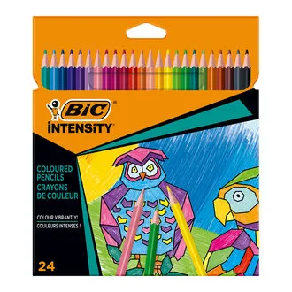 Bic İntensity Üçgen Kuru Boya Kalemi 24'lü