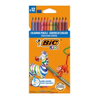 BIC Evolution Stripes Kuru Boya Kalemi 12'li Kutu