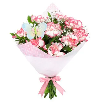 Nema Burgazada Pınk & Whıte K