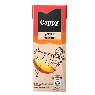 Cappy Şeftali Nektarı Karton Kutu 200 ML
