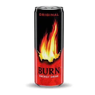 Burn Enerji İçeceği Kutu 250 ML