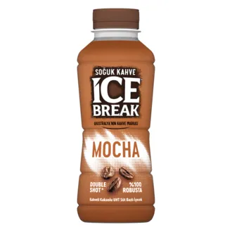 Ice Break Mocha 375 Ml