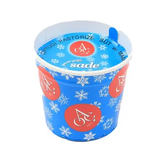 Atatürk Orman Çiftliği Sade Kap Dondurma 100 Ml