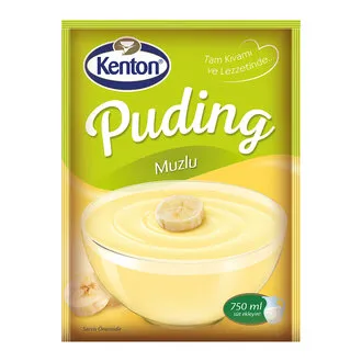 Kenton Puding Muzlu 125 G
