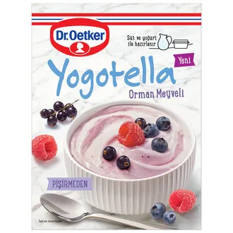 Dr.Oetker Yogotella Orman Meyveli 69 G