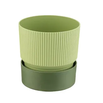 Farist Garden Ixora 2 L Saksı